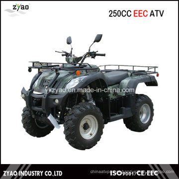 Jianshe 250cc CEE Quad Big Power 10inch Roda